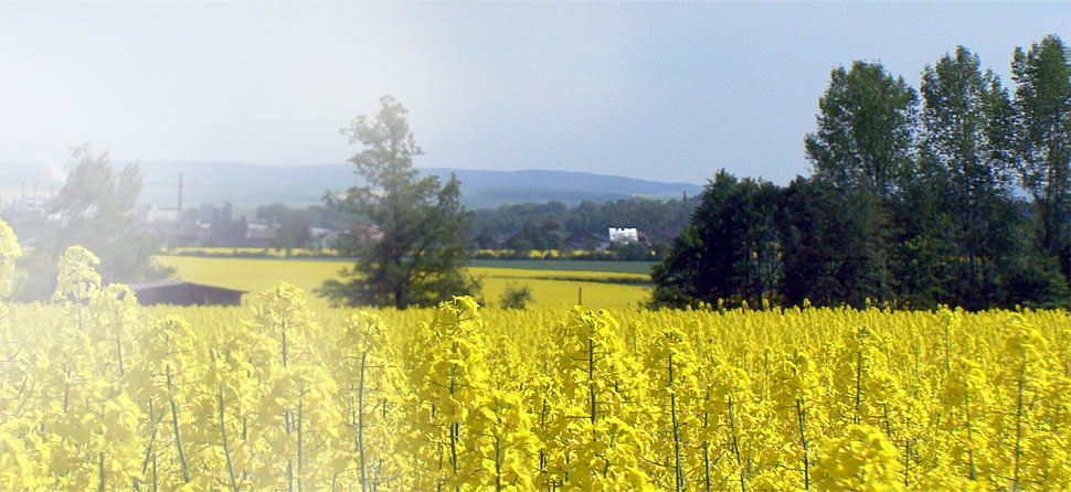 alfreBIOTEEG